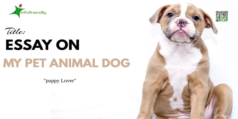 Essay On My Pet Animal Dog